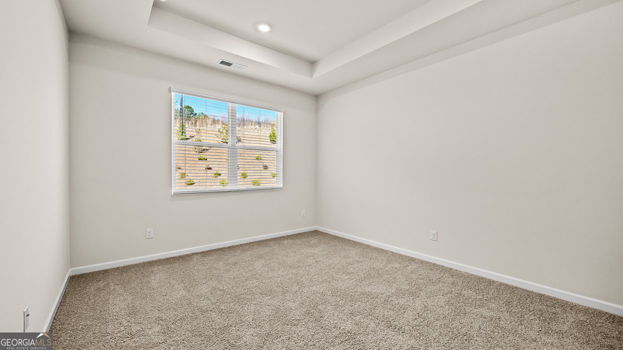 0 White Spruce Way Newnan - Photo 29