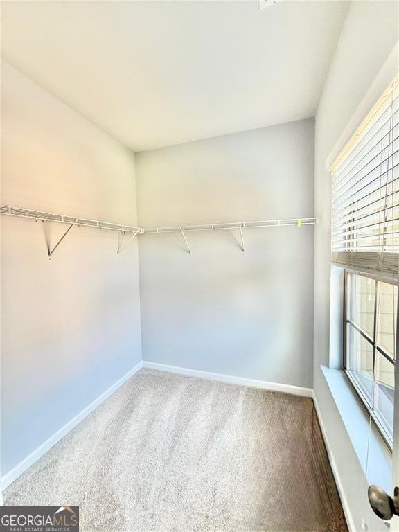 1243 Wesleyan Place Braselton - Photo 18