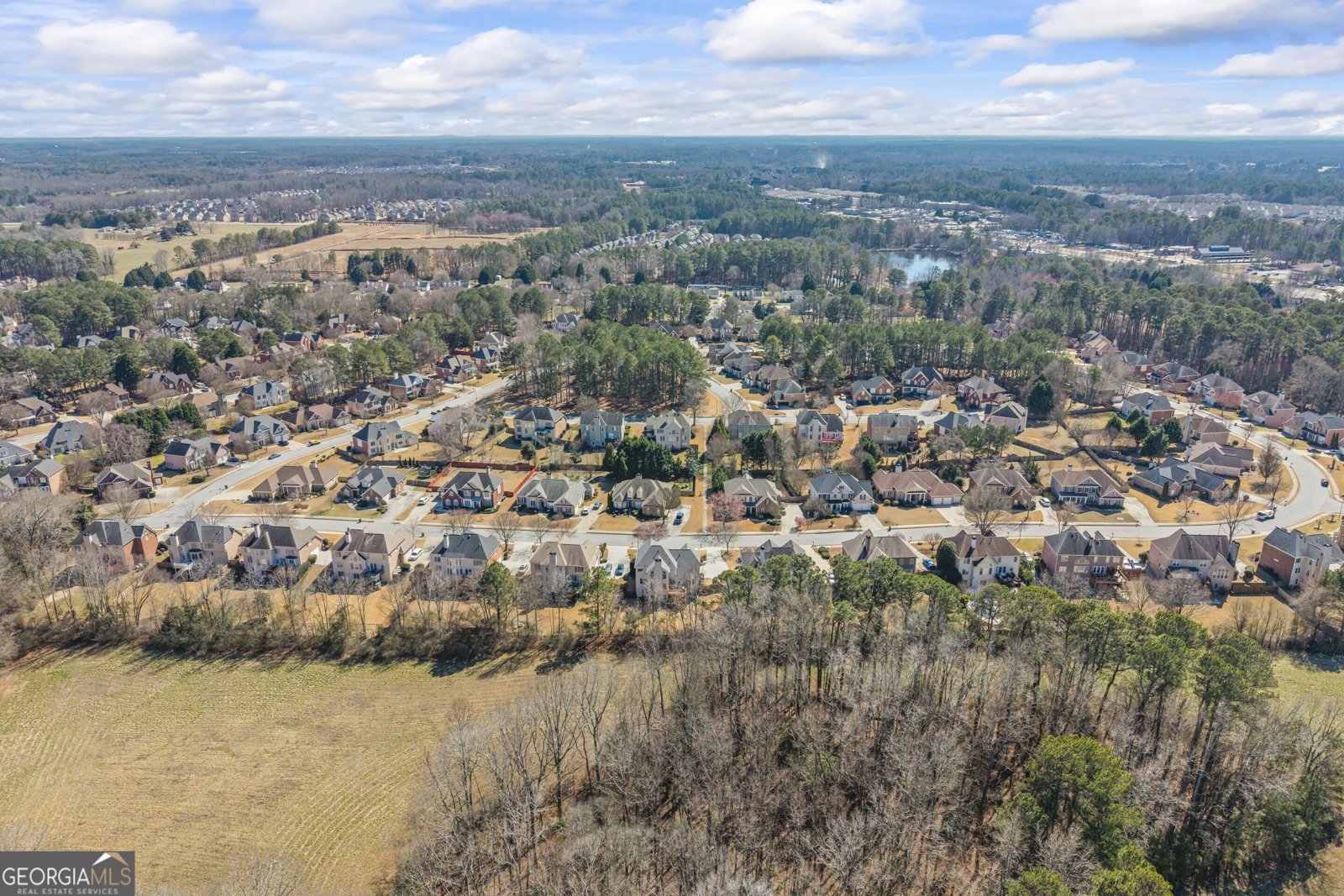 466 Middleton Place Grayson - Photo 112