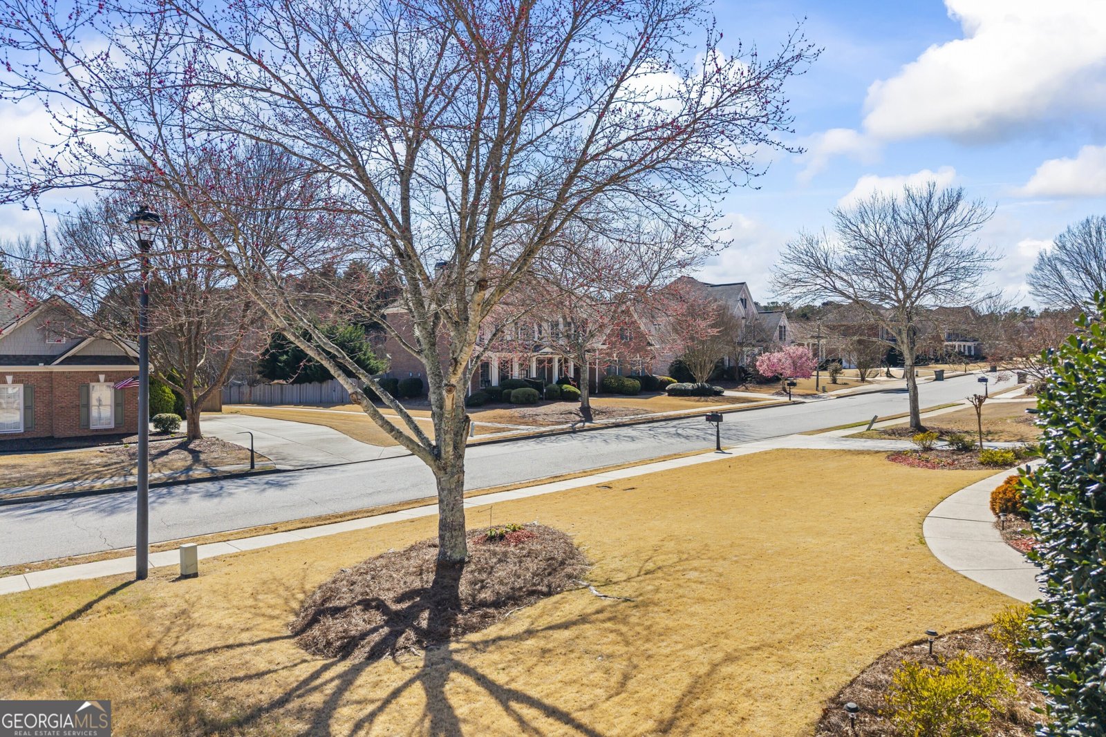 466 Middleton Place Grayson - Photo 99