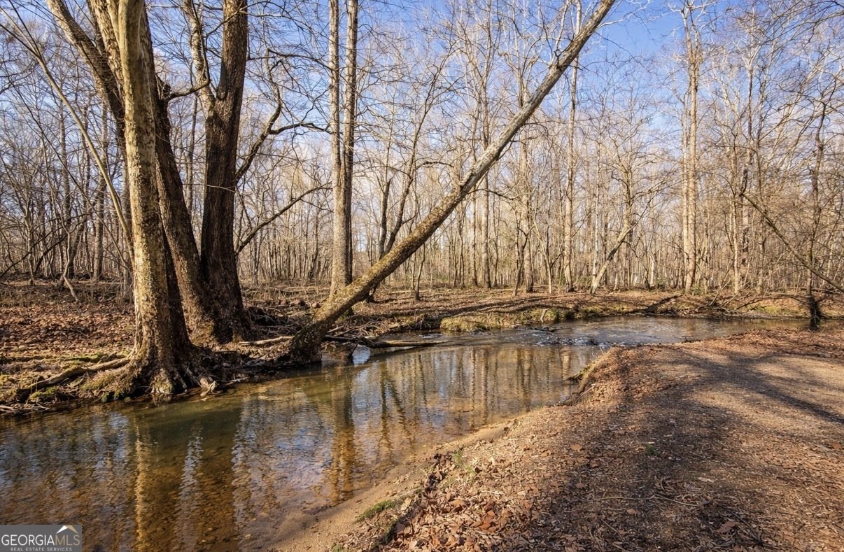 346 Rusty Lady Lane Ellijay - Photo 48
