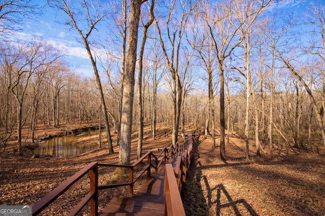 346 Rusty Lady Lane Ellijay - Photo 49