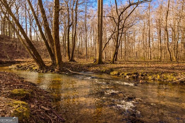 346 Rusty Lady Lane Ellijay - Photo 50