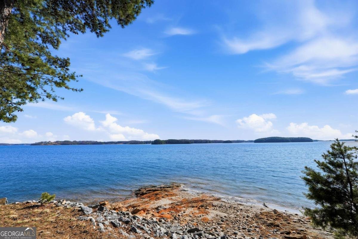 7790 Chestnut Hill Road Cumming - Photo 39