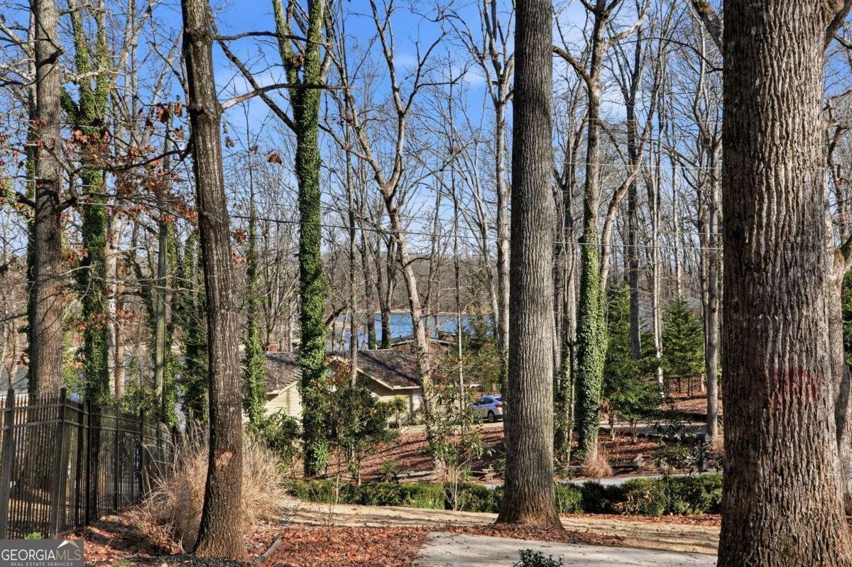 7790 Chestnut Hill Road Cumming - Photo 40