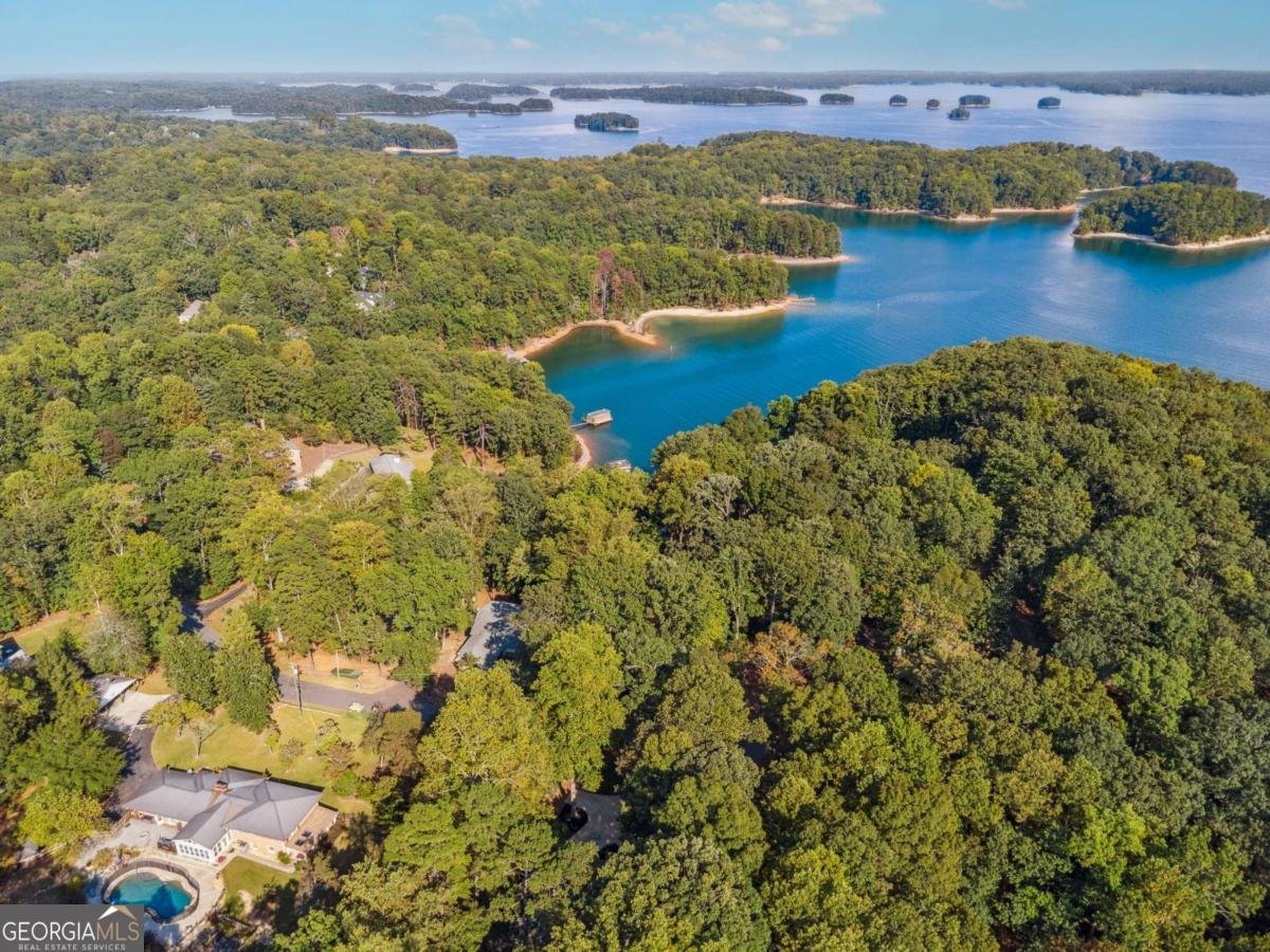 7790 Chestnut Hill Road Cumming - Photo 8