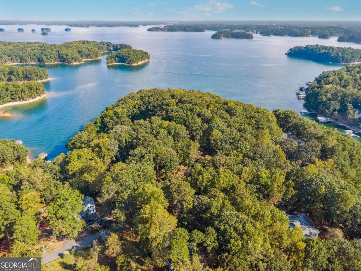 7790 Chestnut Hill Road Cumming - Photo 9