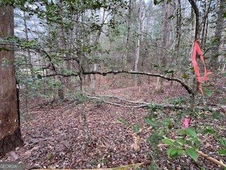 216 Holly Hill Drive Blairsville - Photo 10