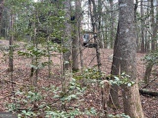 216 Holly Hill Drive Blairsville - Photo 11