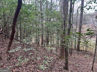 216 Holly Hill Drive Blairsville - Photo 12