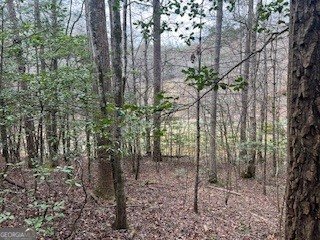 216 Holly Hill Drive Blairsville - Photo 14