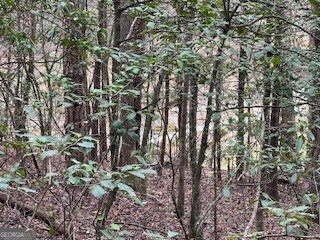 216 Holly Hill Drive Blairsville - Photo 15