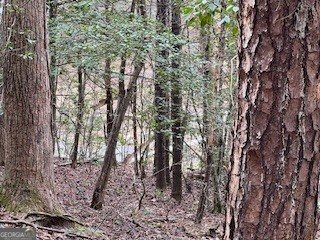 216 Holly Hill Drive Blairsville - Photo 16