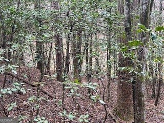 216 Holly Hill Drive Blairsville - Photo 17