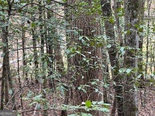 216 Holly Hill Drive Blairsville - Photo 18