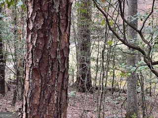 216 Holly Hill Drive Blairsville - Photo 19