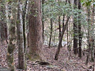 216 Holly Hill Drive Blairsville - Photo 20