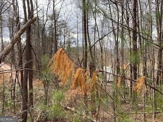 216 Holly Hill Drive Blairsville - Photo 21