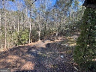 216 Holly Hill Drive Blairsville - Photo 22