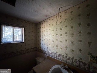 216 Holly Hill Drive Blairsville - Photo 39