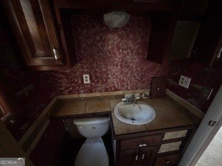 216 Holly Hill Drive Blairsville - Photo 53