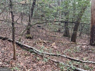 216 Holly Hill Drive Blairsville - Photo 6