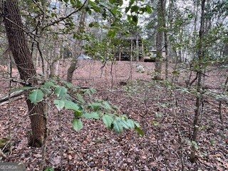 216 Holly Hill Drive Blairsville - Photo 7