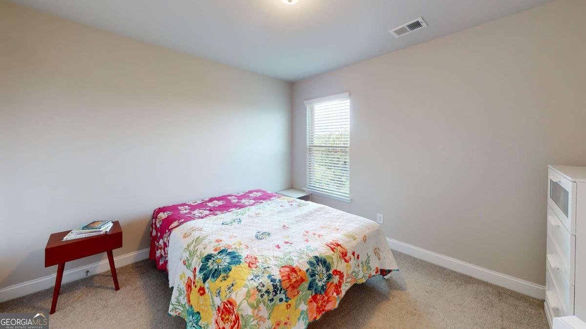 339 Cherryhill Lane Woodstock - Photo 46