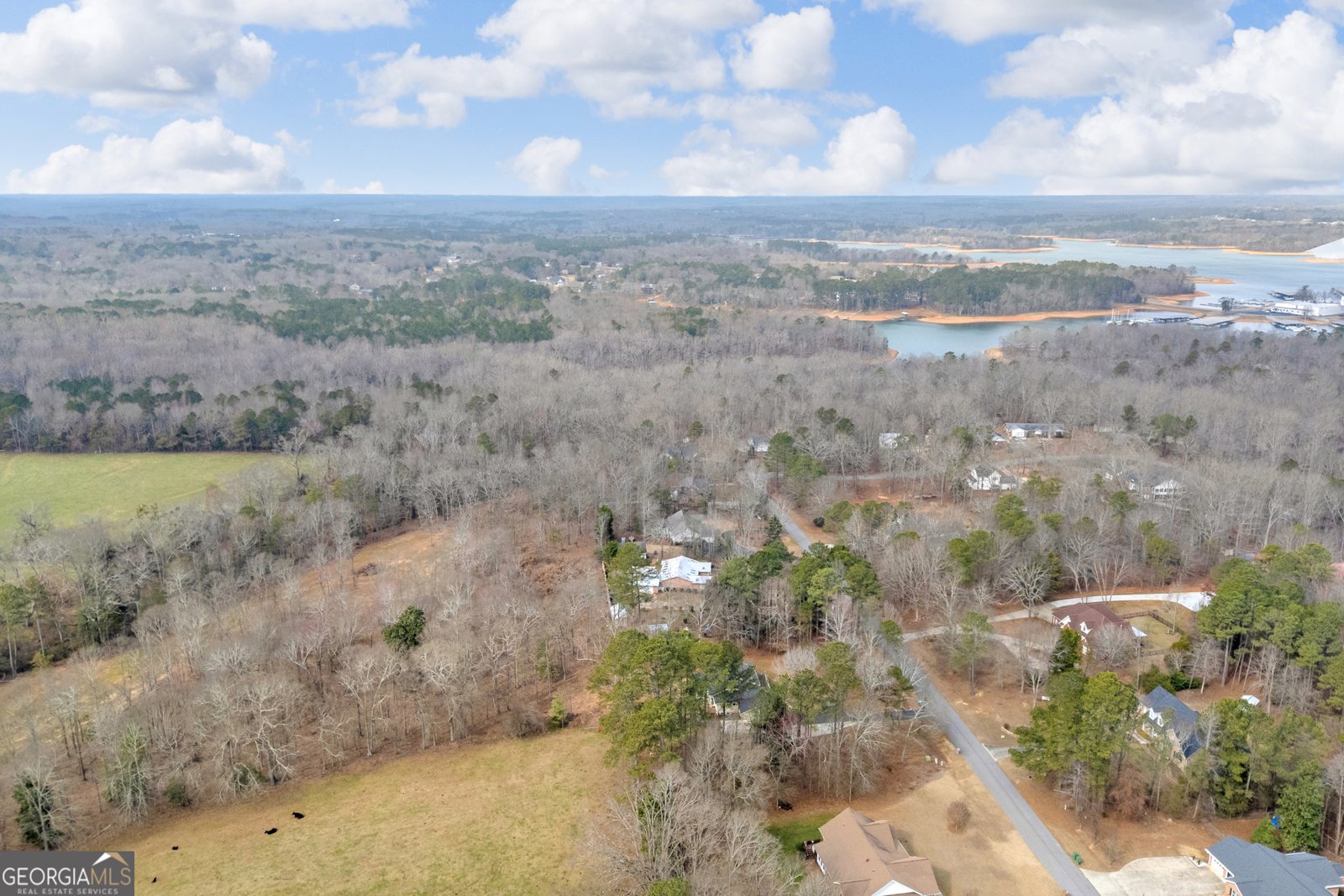 297 Hillandale Drive Hartwell - Photo 67