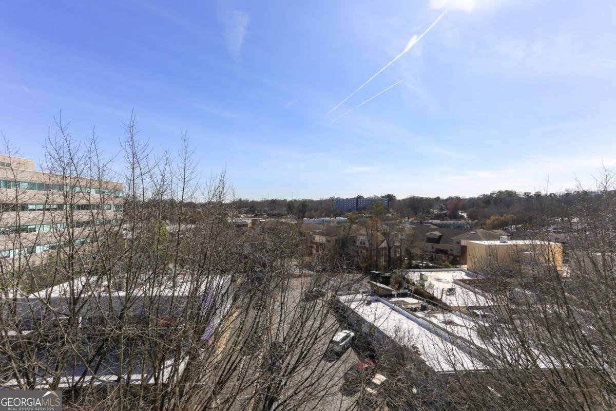 335 Ponce De Leon Avenue Decatur - Photo 9