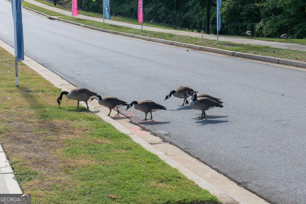 329 Brighton Bend Lane Acworth - Photo 39