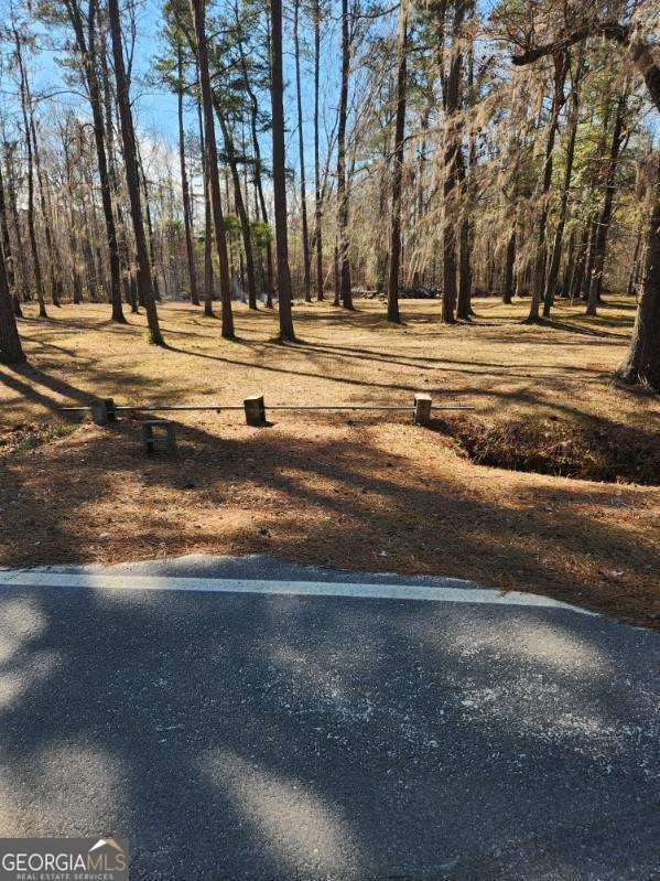 885 Henderson Road Dublin - Photo 29