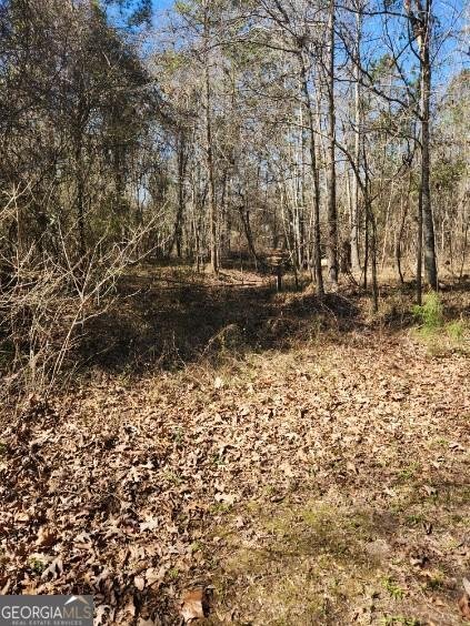 885 Henderson Road Dublin - Photo 34