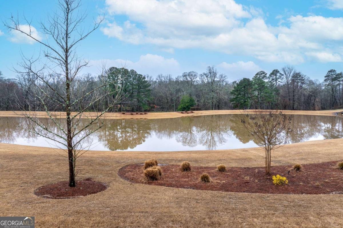 5161 Dinant Drive Johns Creek - Photo 56