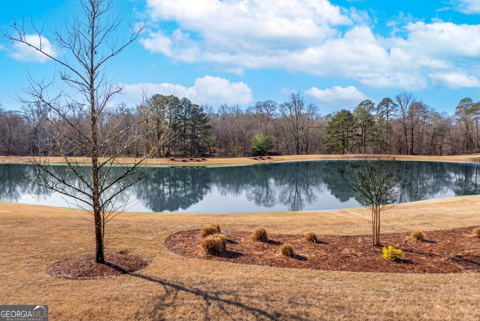 5161 Dinant Drive Johns Creek - Photo 57