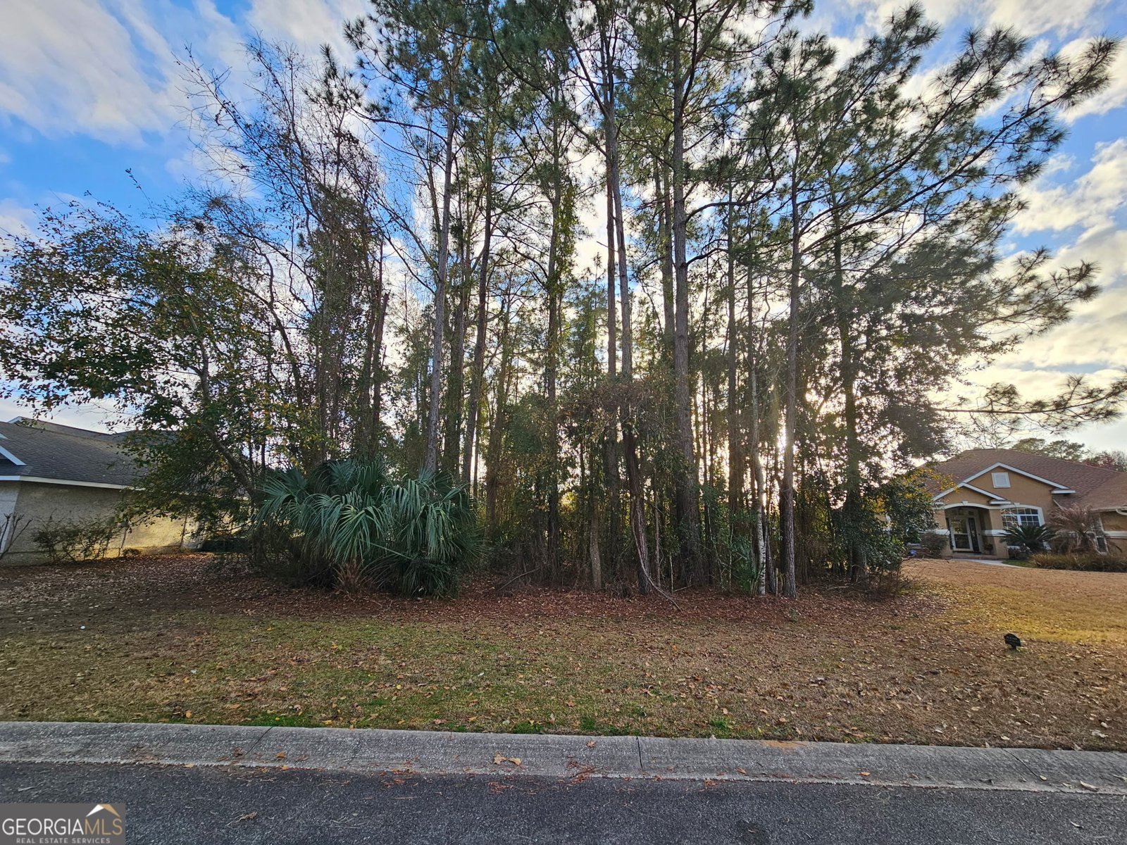 119 Maybird Drive Kingsland - Photo 9