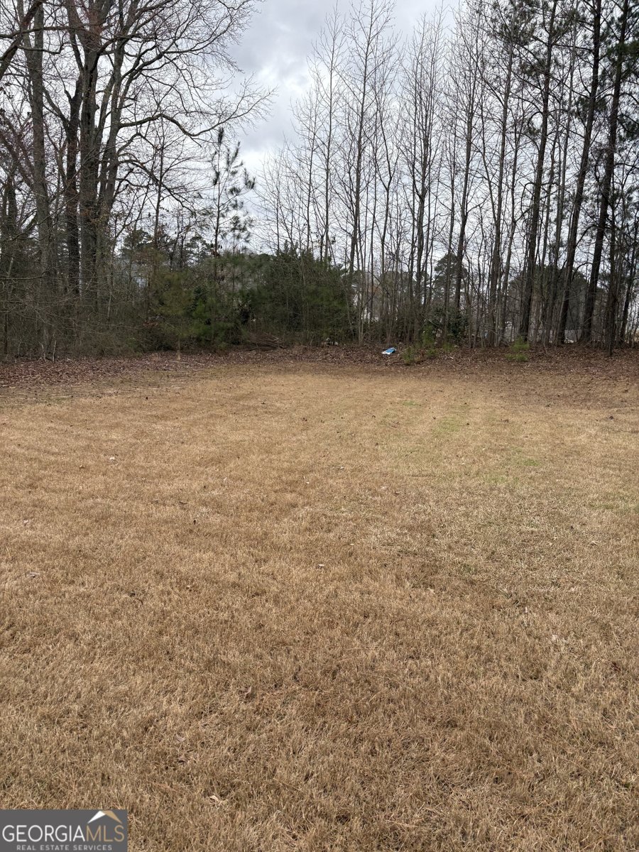 208 Deodar Lane Hampton - Photo 29