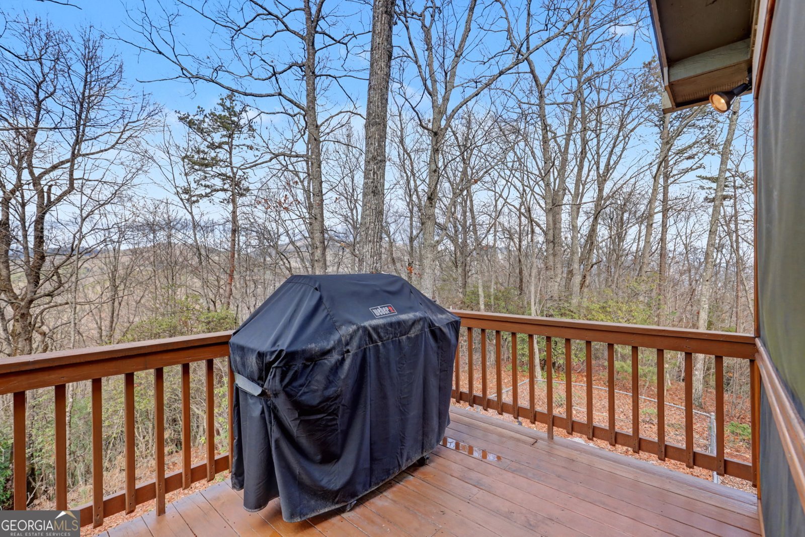 1176 Tiger Pass Drive Tiger - Photo 25