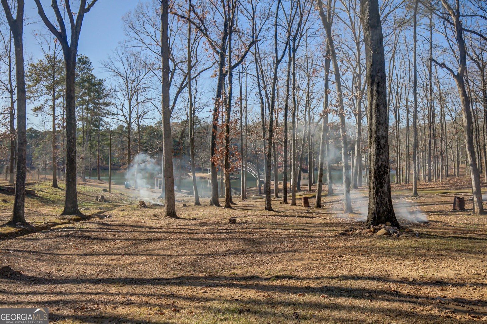 6450 Lake Sara Glen Drive Douglasville - Photo 13