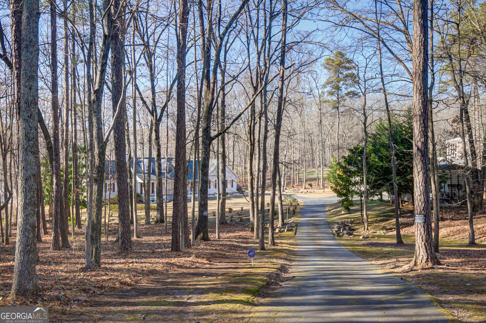 6450 Lake Sara Glen Drive Douglasville - Photo 18