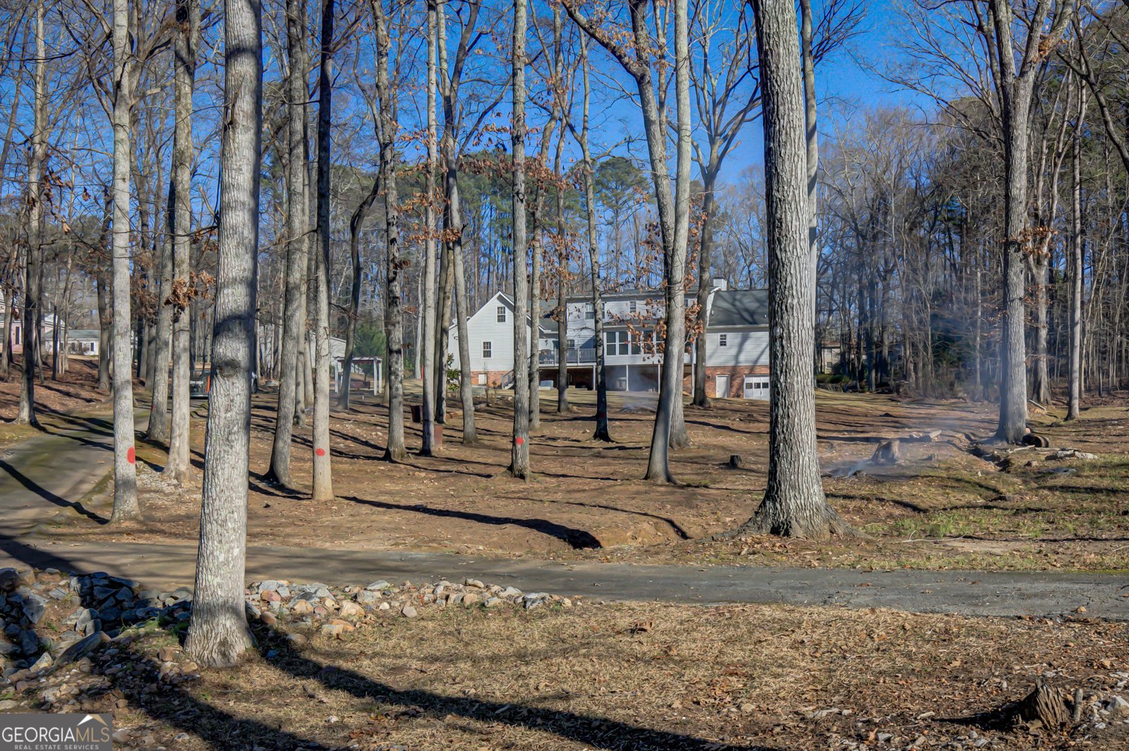 6450 Lake Sara Glen Drive Douglasville - Photo 41