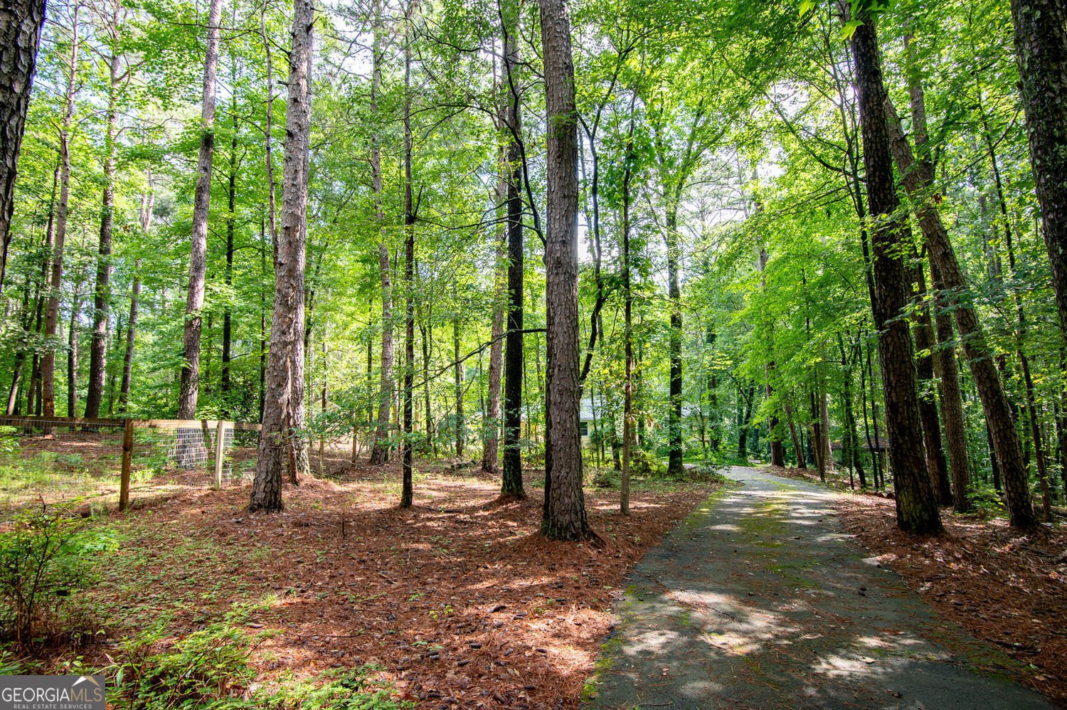 5357 Highway 81 Loganville - Photo 38