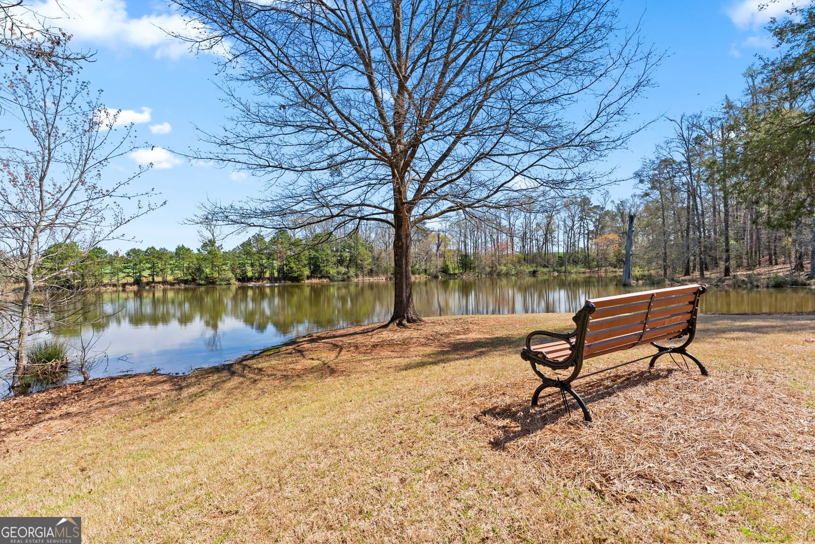 2041 Lakewood Manor Drive Watkinsville - Photo 59