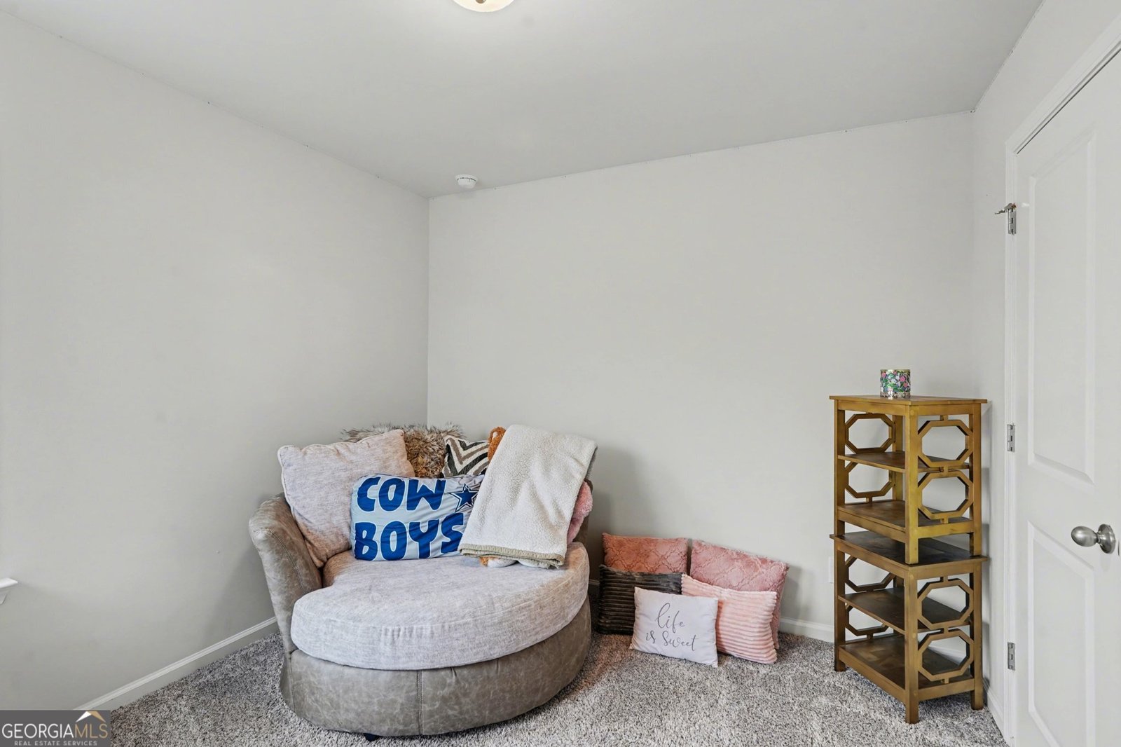 316 Warner Road McDonough - Photo 19