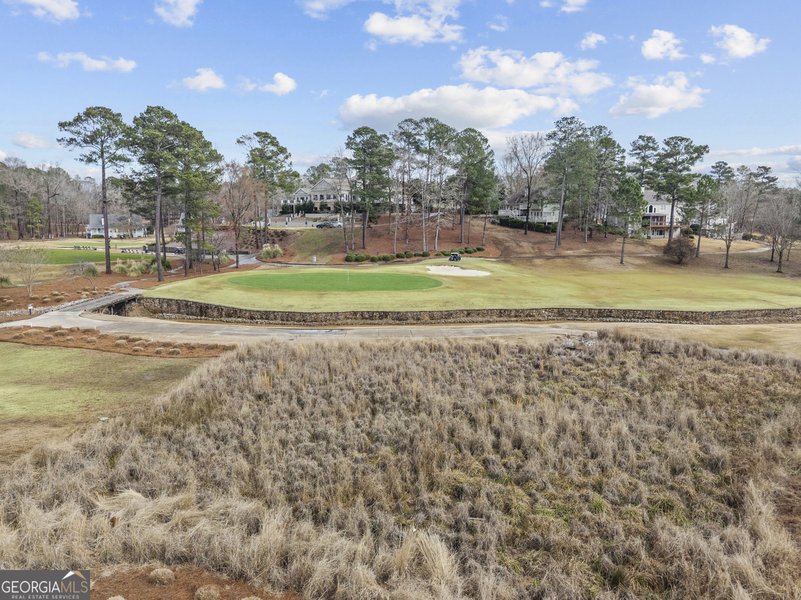 1011 Lofter Place Greensboro - Photo 69