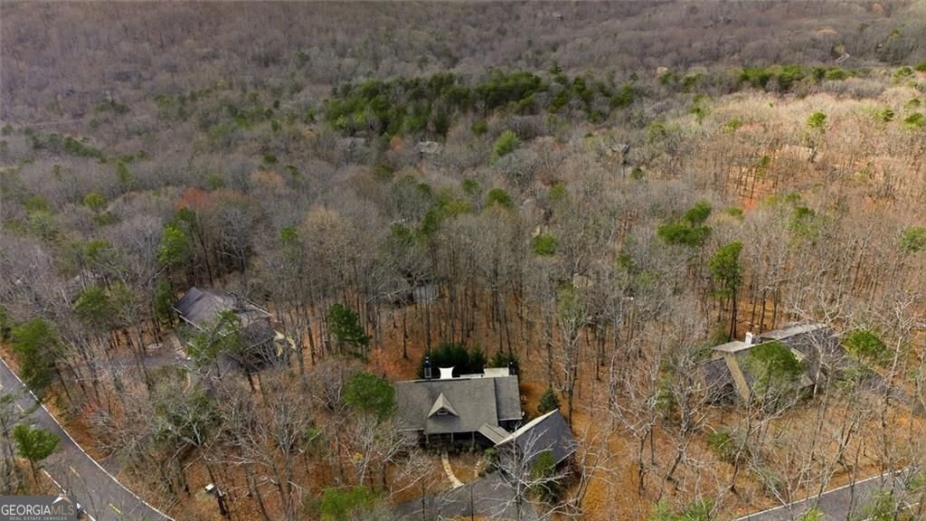 1033 Quail Cove Drive Jasper - Photo 53