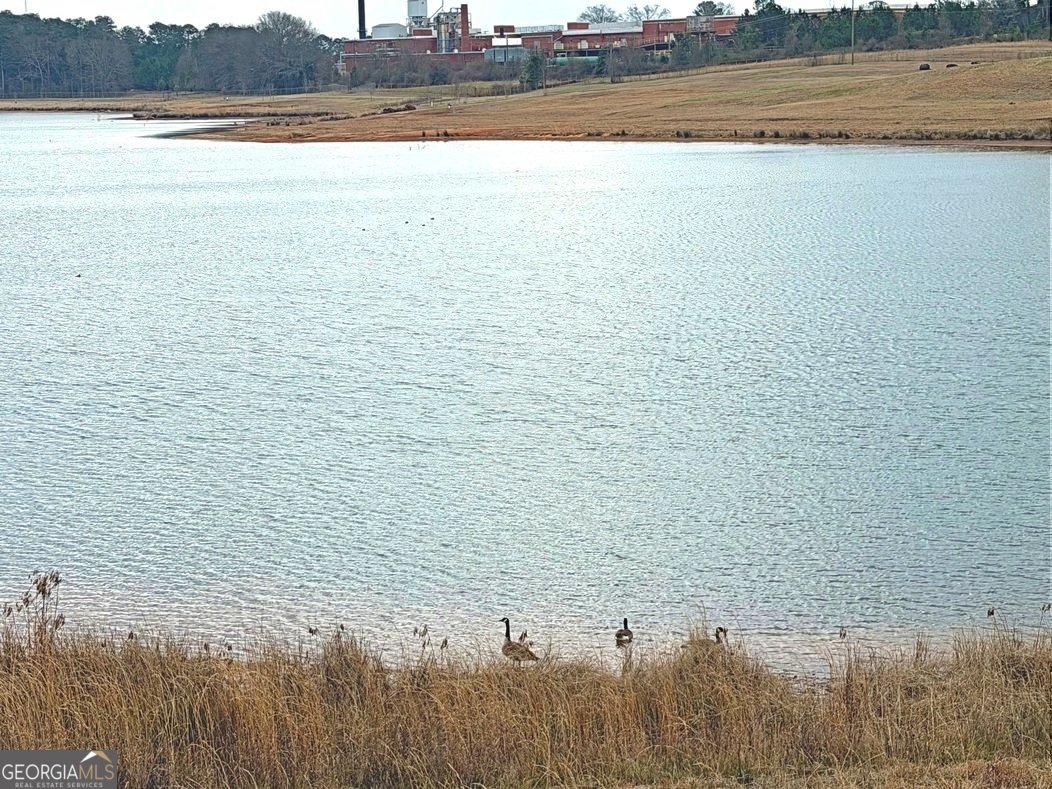 40 Edgewood Avenue Thomaston - Photo 37