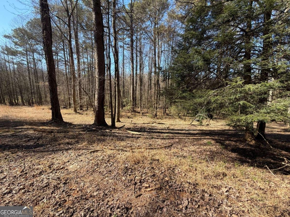 522 Bible Baptist Road Ellijay - Photo 12