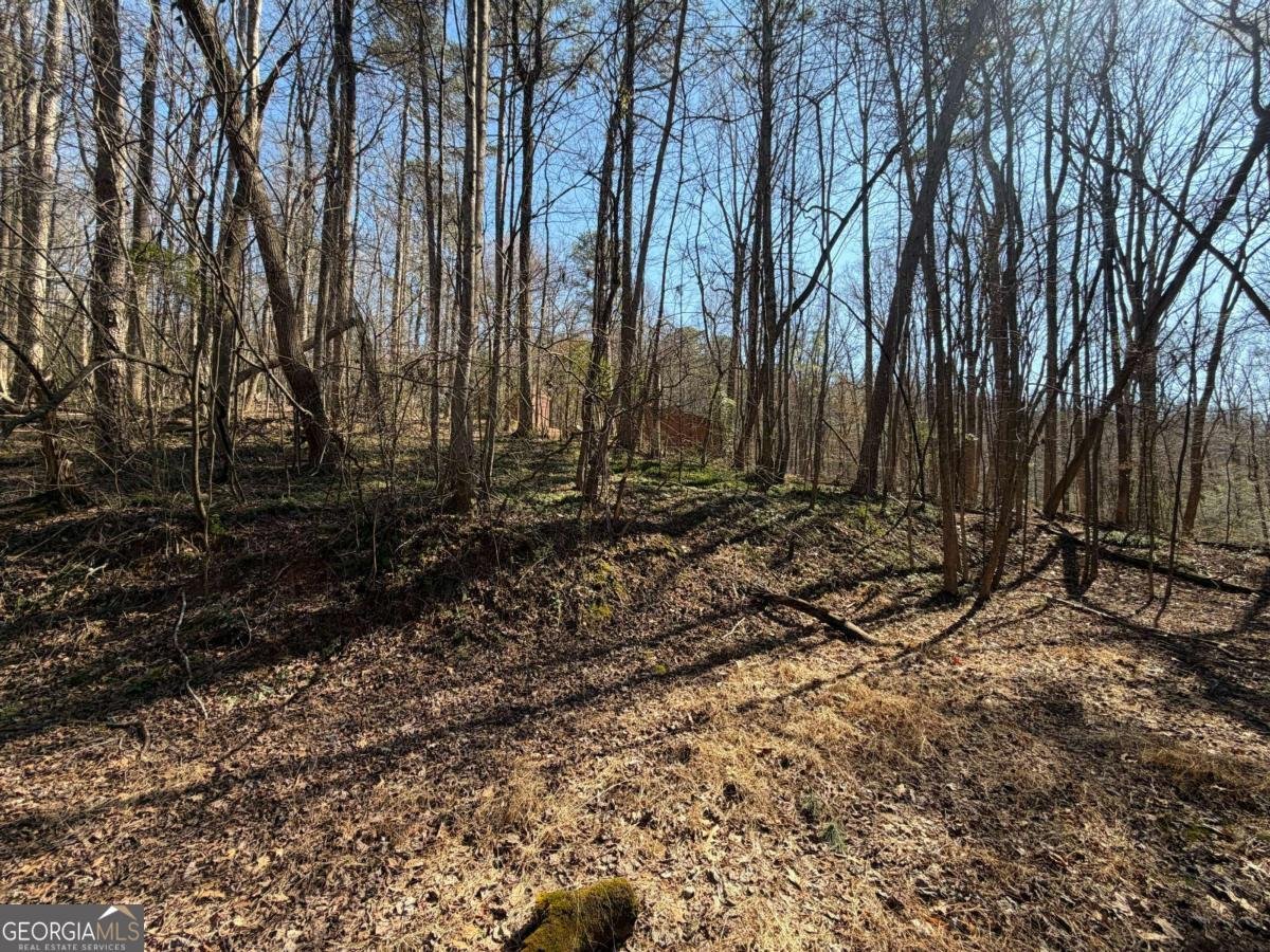 522 Bible Baptist Road Ellijay - Photo 13