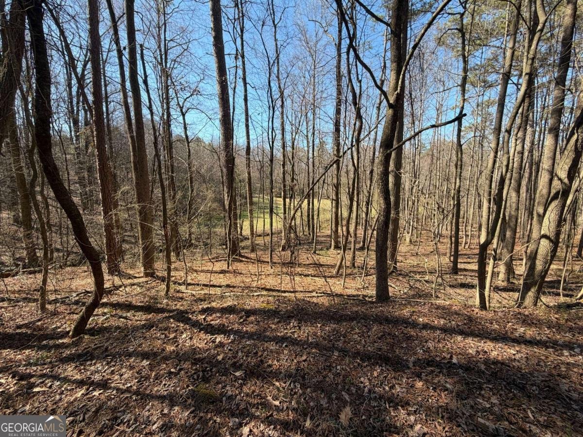 522 Bible Baptist Road Ellijay - Photo 14